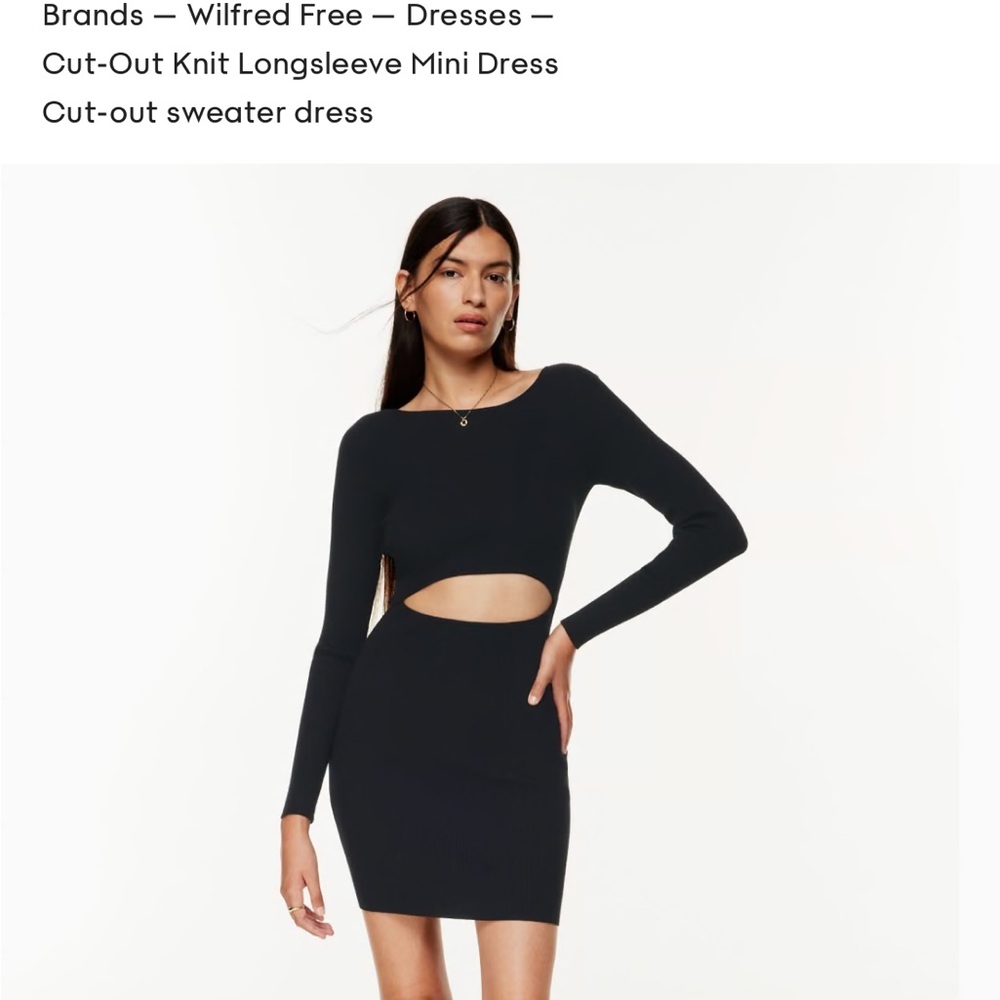 Aritzia Wilfred Free Cut-Out Knit Longsleeve Mini Dress